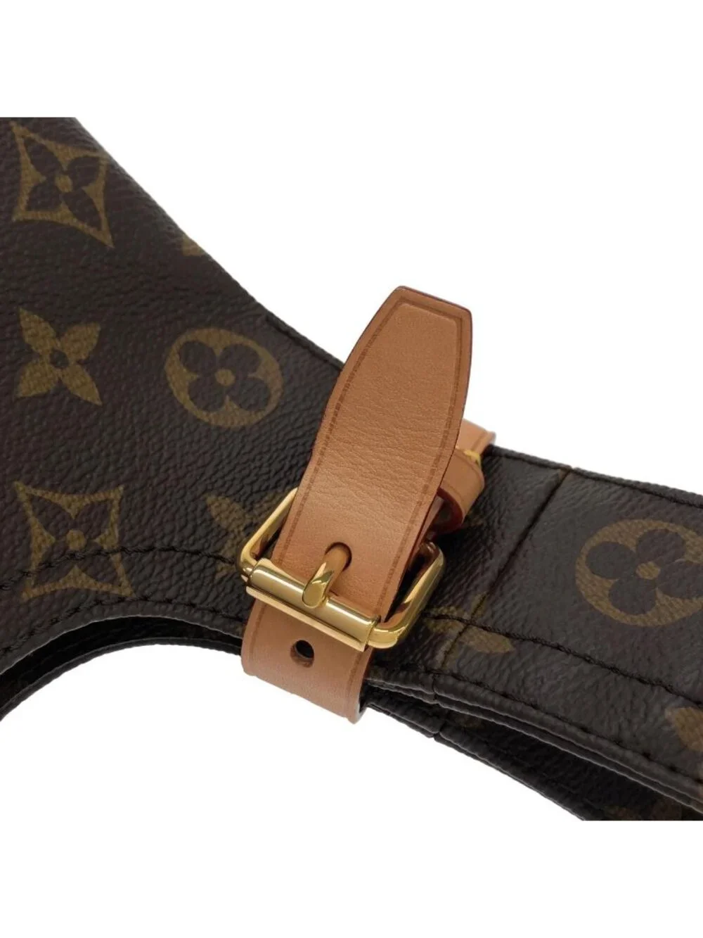 Louis Vuitton Monogram Atlantis GM